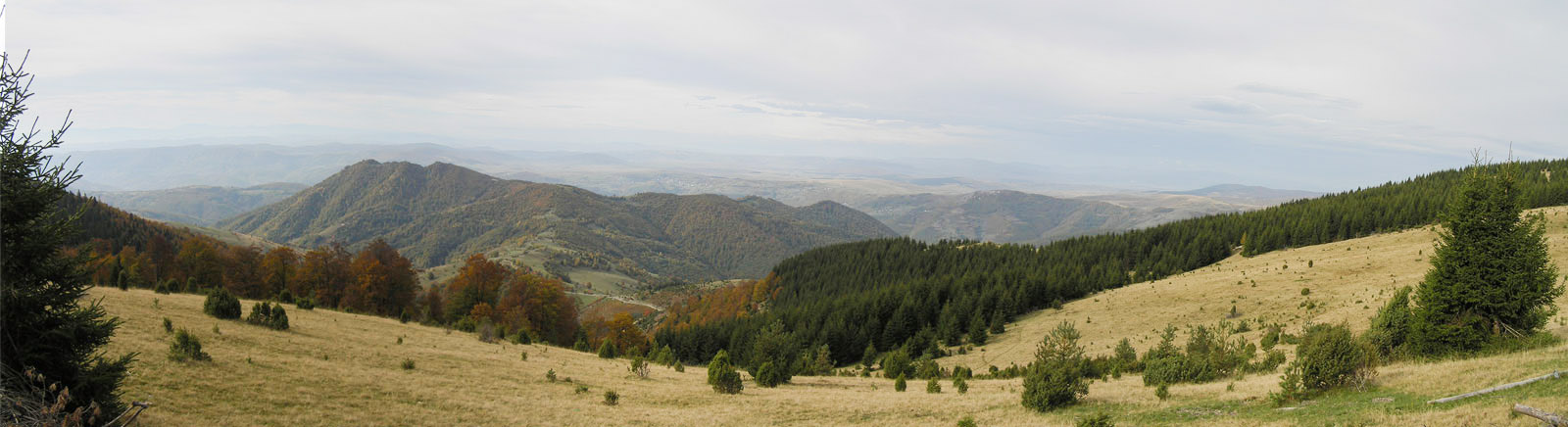 Header slika
